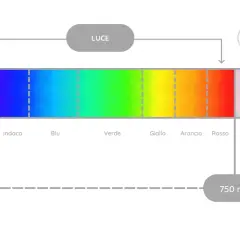 Il **spettro del visibile** mostra i colori dall'ultravioletto al rosso, con lunghezze d'onda da 380 a 750 nm.