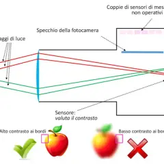 Schema ottico di una fotocamera che illustra come i raggi di luce formano un'immagine sul sensore, determinando i **punti di messa a fuoco** e il contrasto.