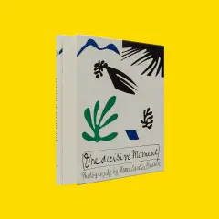 Copertina del libro "The decisive moment" di Henri Cartier Bresson, con illustrazioni astratte e il titolo scritto a mano.