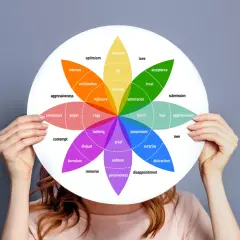 Ruota delle emozioni con colori che ne definiscono il cromaticamente significato: gioia, amore, rabbia, tristezza e altre sfumature.