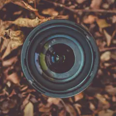 L'obiettivo di un macro obiettivo riflette il mondo, pronto a catturare dettagli nascosti tra le foglie autunnali.