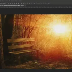 Panchina in un bosco al tramonto, con raggi di luce dorata che filtrano tra gli alberi. Un'atmosfera magica, quasi da inserire texture Photoshop.