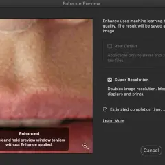 Anteprima miglioramento con photoshop super resolution. L'opzione "Super Resolution" è selezionata per raddoppiare la risoluzione dell'immagine.