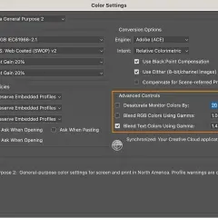 Impostazioni colori Photoshop: spazi di lavoro, gestione profili e controlli avanzati per la resa cromatica.