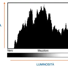 Istogramma in Photoshop che mostra la distribuzione dei pixel per luminosità, da nero a bianco, con picchi nei mezzitoni.