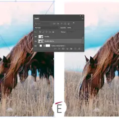 Un cavallo al pascolo, con pannello livelli di Photoshop aperto, mostra la modifica di un file in formato psb.