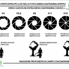 Illustrazione sull'esposizione fotografica: diaframmi aperti (più luce, sfondo sfocato) e chiusi (meno luce, maggiore profondità di campo).