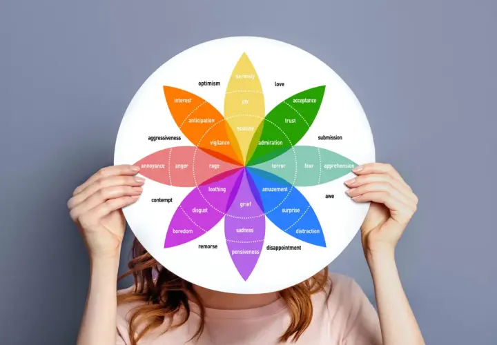 Ruota delle emozioni con colori che ne definiscono il cromaticamente significato: gioia, amore, rabbia, tristezza e altre sfumature.