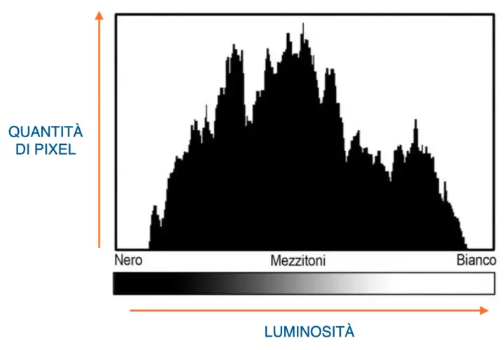 Istogramma in Photoshop che mostra la distribuzione dei pixel per luminosità, da nero a bianco, con picchi nei mezzitoni.