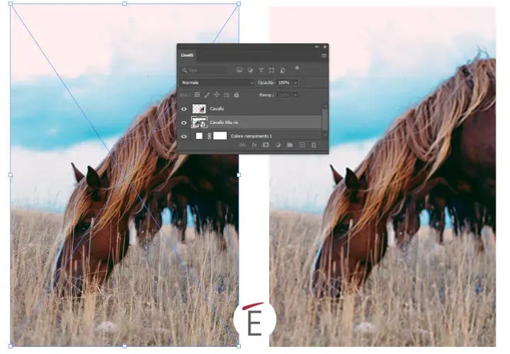 Un cavallo al pascolo, con pannello livelli di Photoshop aperto, mostra la modifica di un file in formato psb.