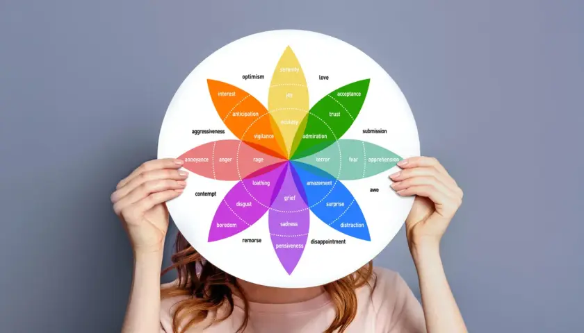 Ruota delle emozioni con colori che ne definiscono il cromaticamente significato: gioia, amore, rabbia, tristezza e altre sfumature.