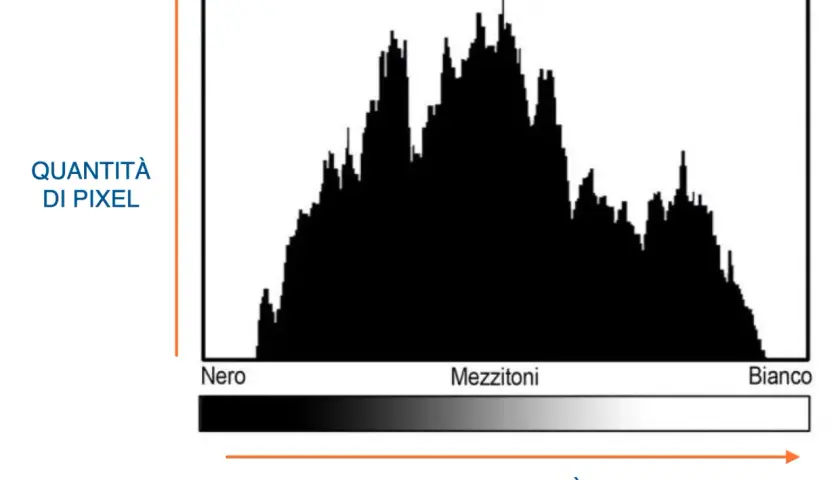 Istogramma in Photoshop che mostra la distribuzione dei pixel per luminosità, da nero a bianco, con picchi nei mezzitoni.