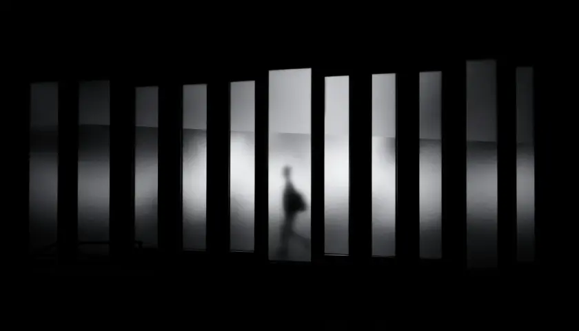 Ombra di una persona che cammina dietro pannelli verticali illuminati. Bianco e nero sono colori che creano un'atmosfera misteriosa.