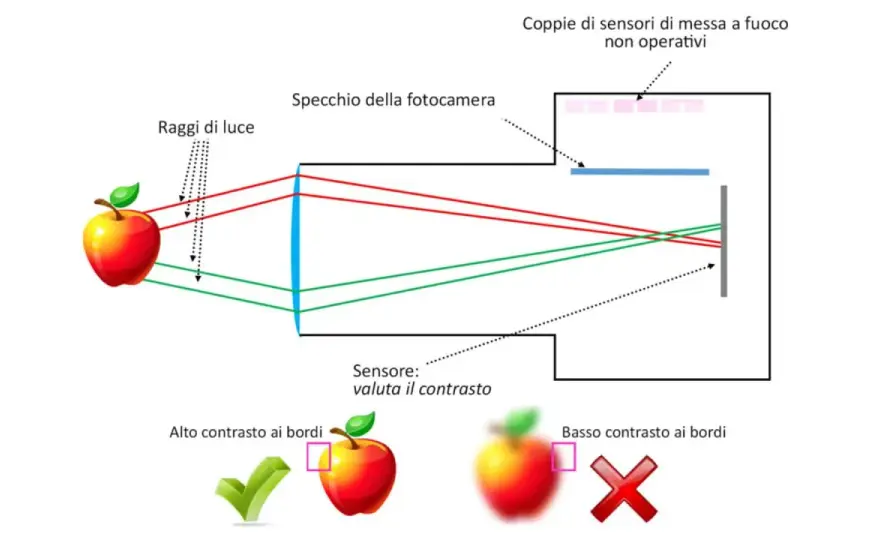 Punti di messa a fuoco - La guida definitiva per foto nitide