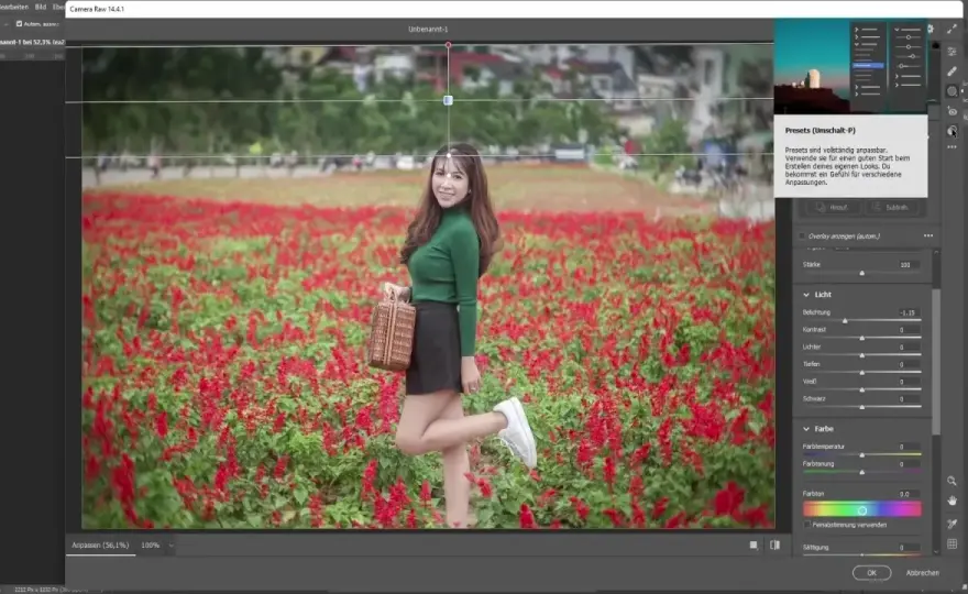 Adobe Camera Raw - Sviluppo RAW perfetto prima di Photoshop