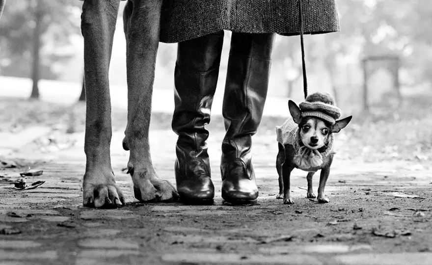 Elliott Erwitt - Oltre l'umorismo, come leggere le sue foto