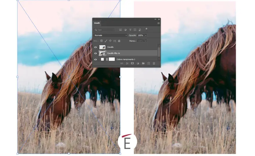 PSB Photoshop - Quando il PSD non basta più: la guida definitiva