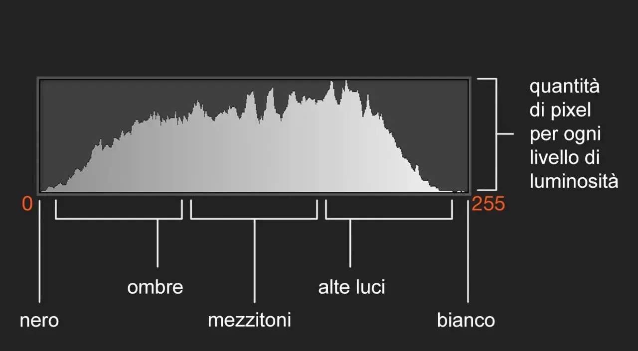Istogramma che mostra la distribuzione dei pixel per ogni livello di luminosità, da nero (0) a bianco (255), con indicazioni per ombre, mezzitoni e alte luci.