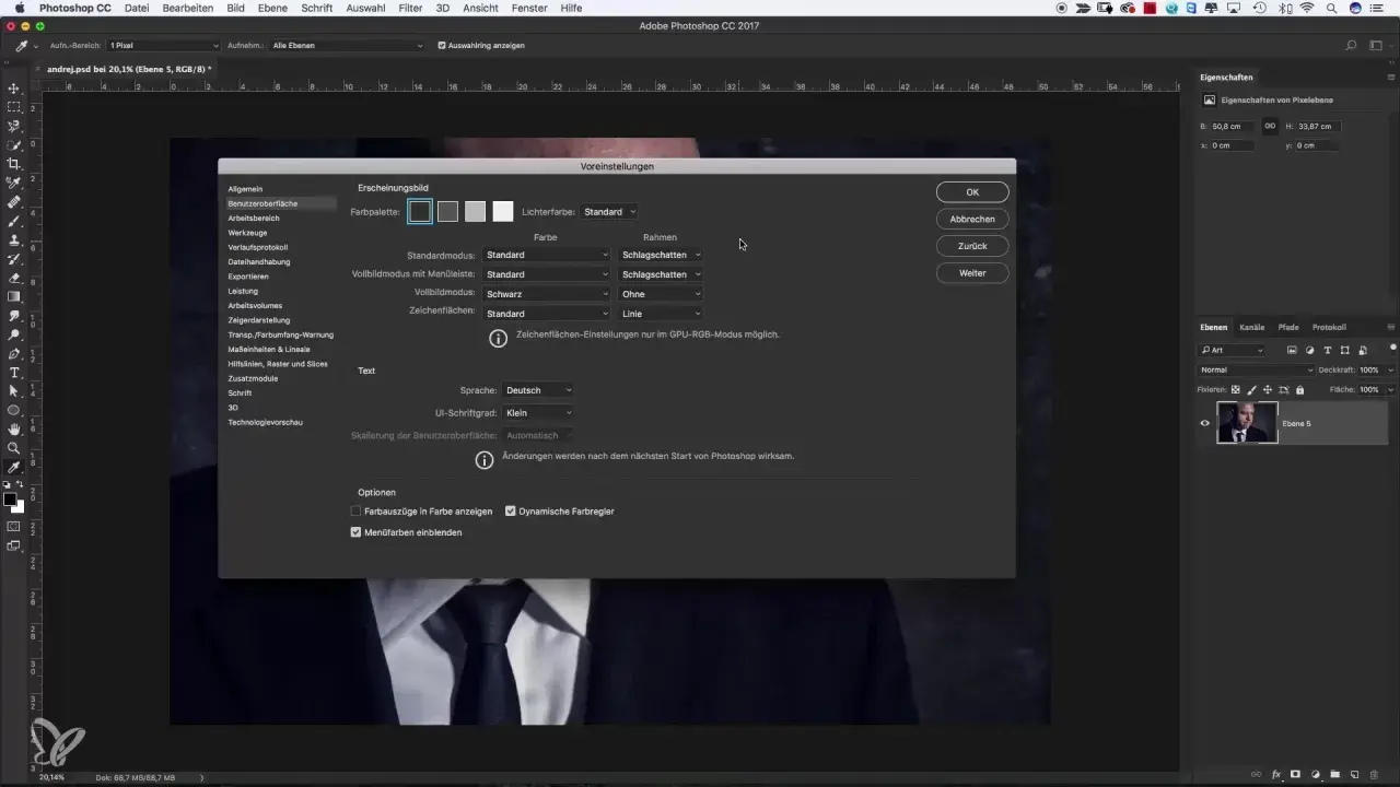 Immagine mostra le impostazioni di Photoshop per personalizzare l'aspetto, utile per chi vuole sapere come installare Photoshop e configurarlo.