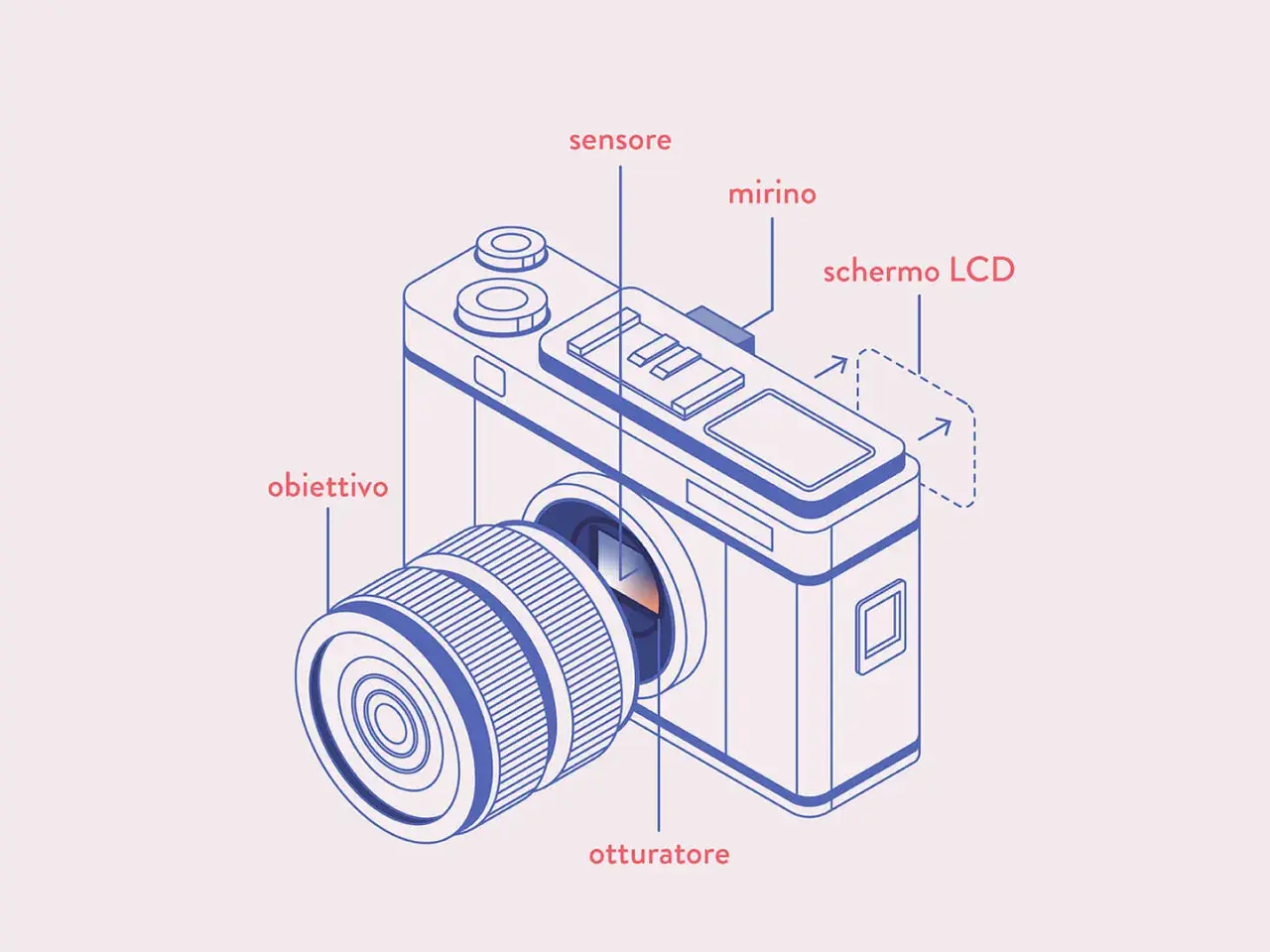 Schema struttura macchina fotografica: obiettivo, sensore, mirino, otturatore, schermo LCD.