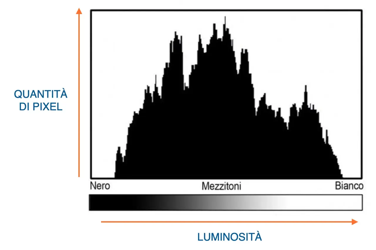 Istogramma in Photoshop che mostra la distribuzione dei pixel per luminosità, da nero a bianco, con picchi nei mezzitoni.