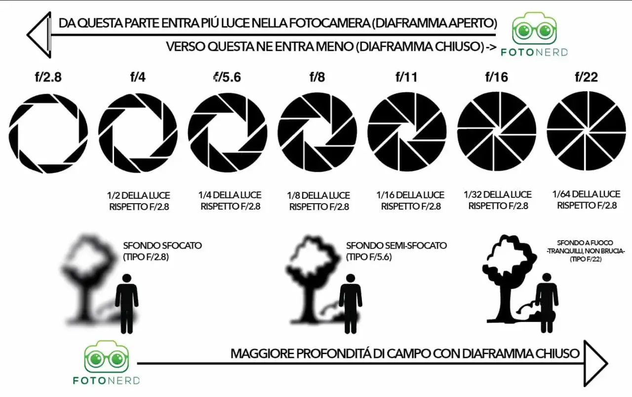 Illustrazione sull'esposizione fotografica: diaframmi aperti (più luce, sfondo sfocato) e chiusi (meno luce, maggiore profondità di campo).