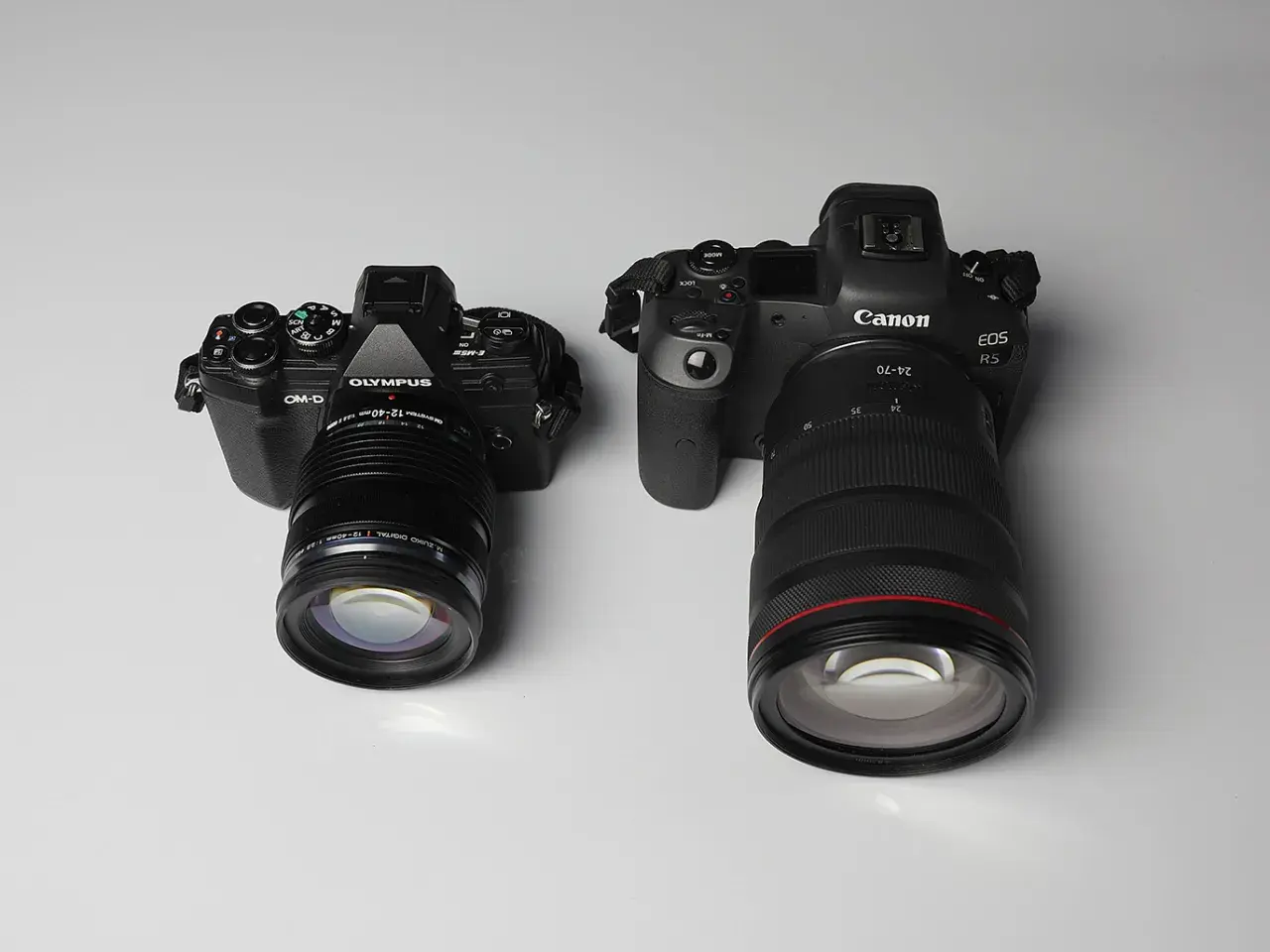 Due fotocamere, una Olympus OM-D in formato micro quattro terzi e una Canon EOS R5, affiancate su sfondo chiaro.