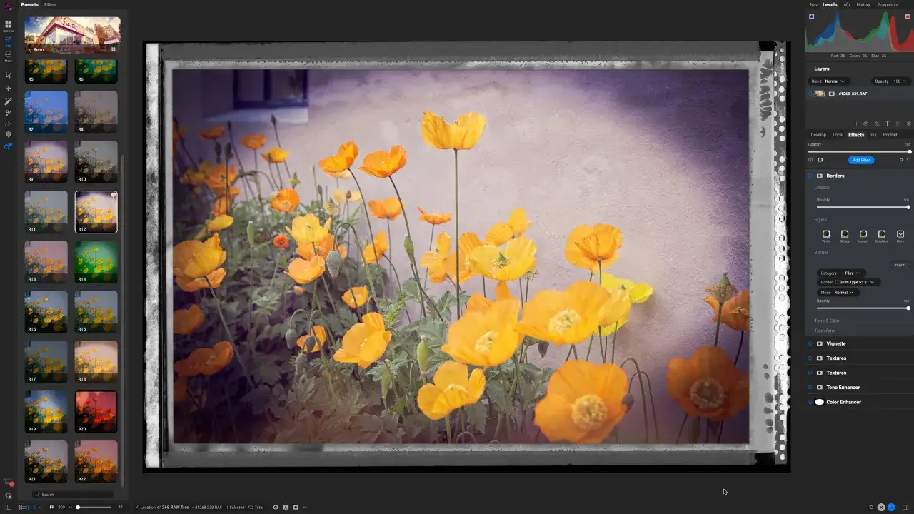 Fiori gialli con un bordo vintage, applicato tramite programmi foto.