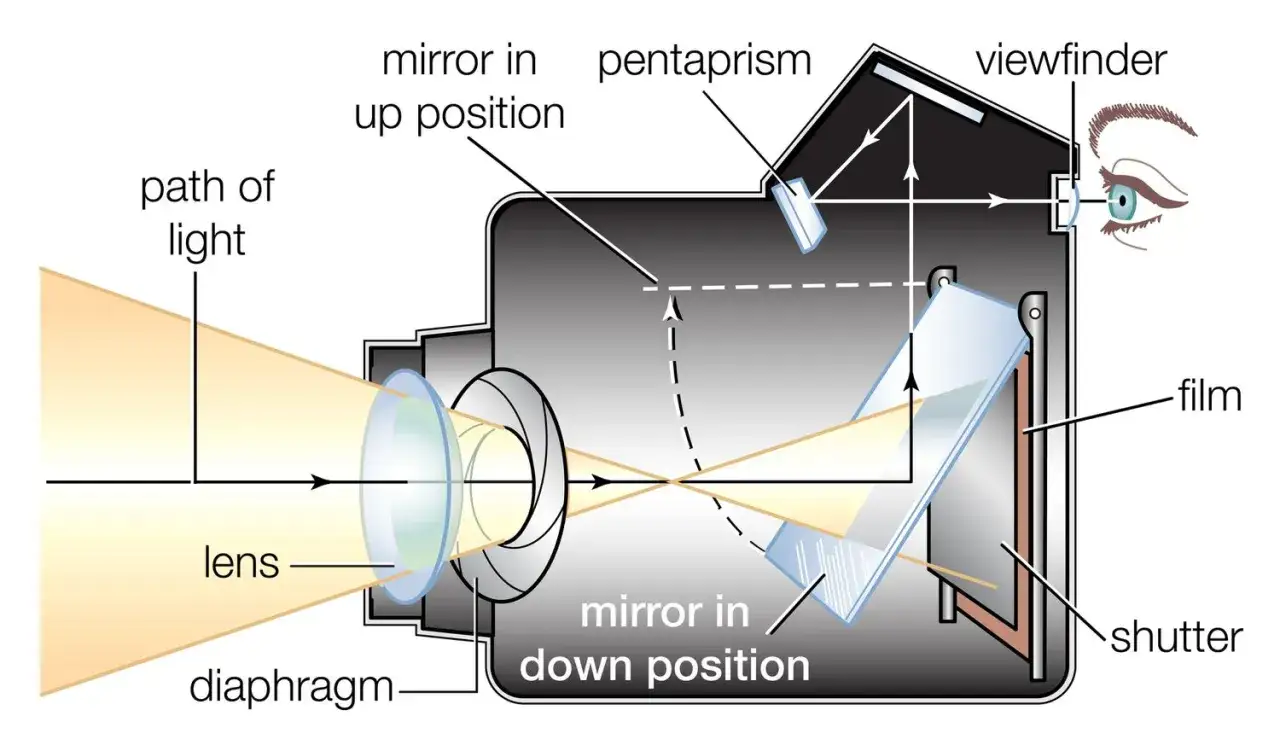 Schema struttura macchina fotografica: luce attraversa lente e diaframma, riflessa da specchio verso pentaprisma e mirino, o verso pellicola e otturatore.
