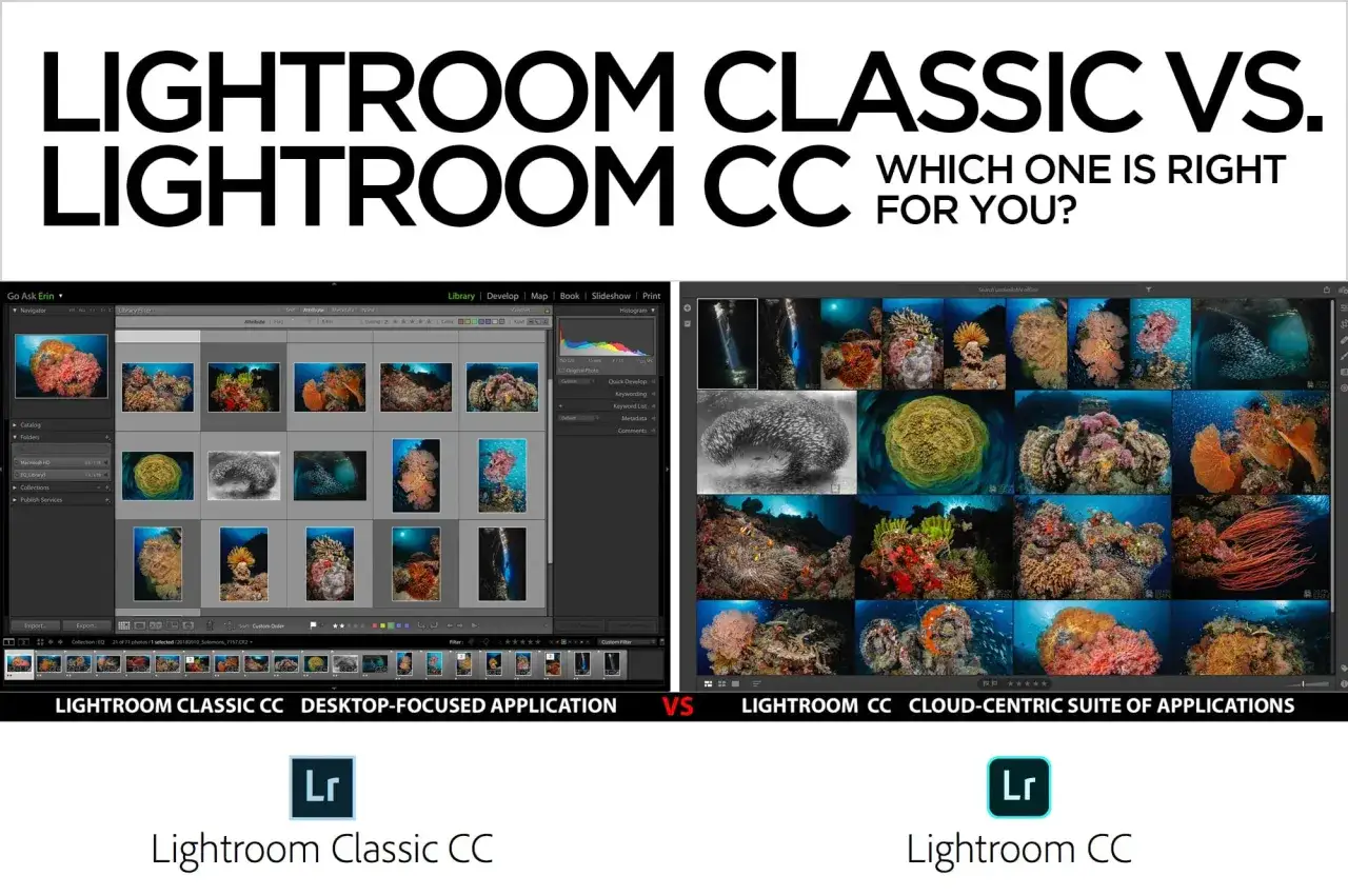 Confronto tra Lightroom Classic (desktop) e Lightroom CC (cloud). Immagini subacquee mostrano la differenza tra le interfacce.
