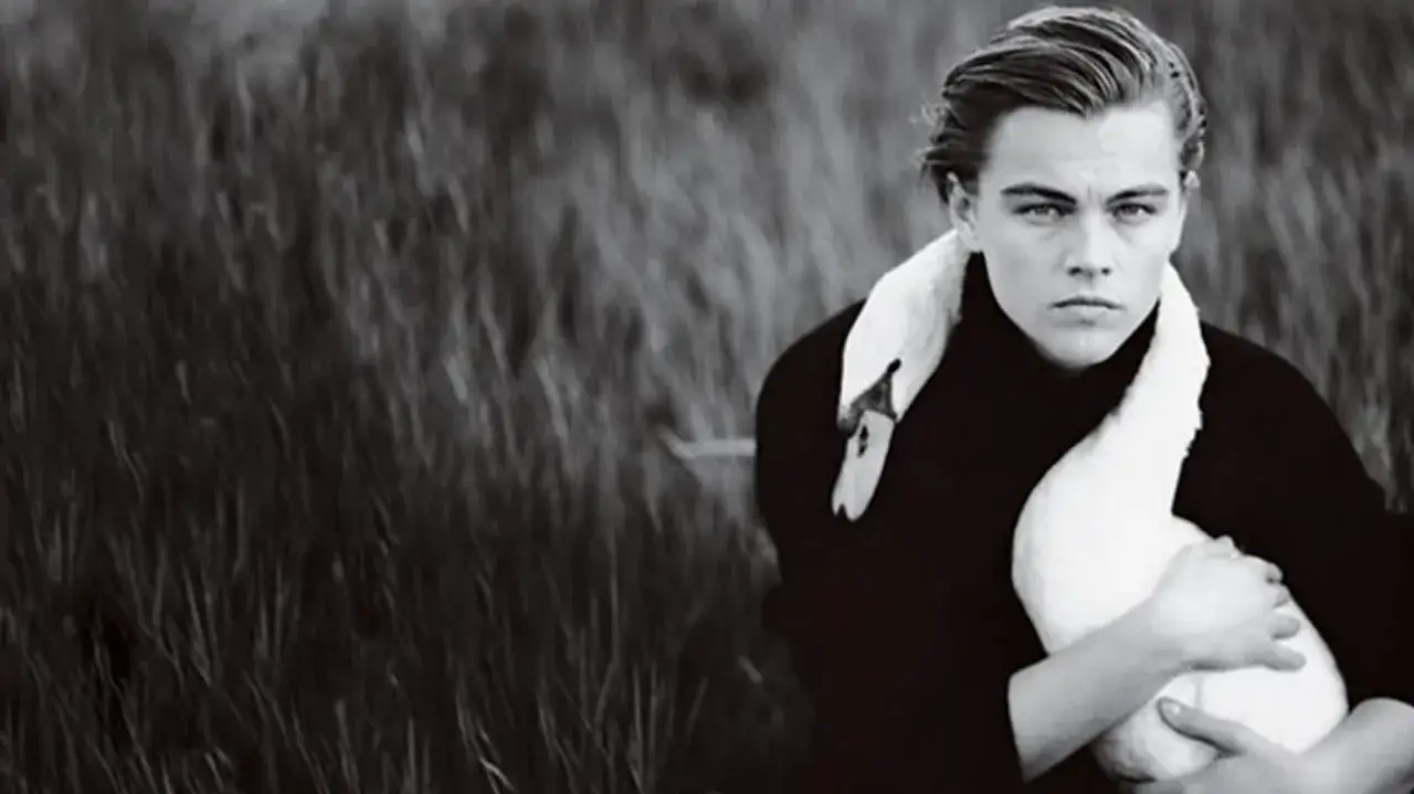 Un giovane Leonardo DiCaprio, in un'iconica annie leibovitz foto, abbraccia un cigno bianco in un campo d'erba alta.