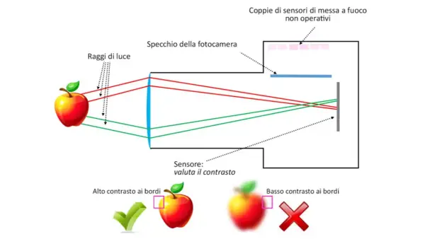 Schema ottico di una fotocamera che illustra come i raggi di luce formano un'immagine sul sensore, determinando i **punti di messa a fuoco** e il contrasto.